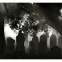 klaus-baum-183-friedhof-hilllane-80proz.jpg