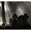 klaus-baum-185-friedhof-southampton-80proz.jpg